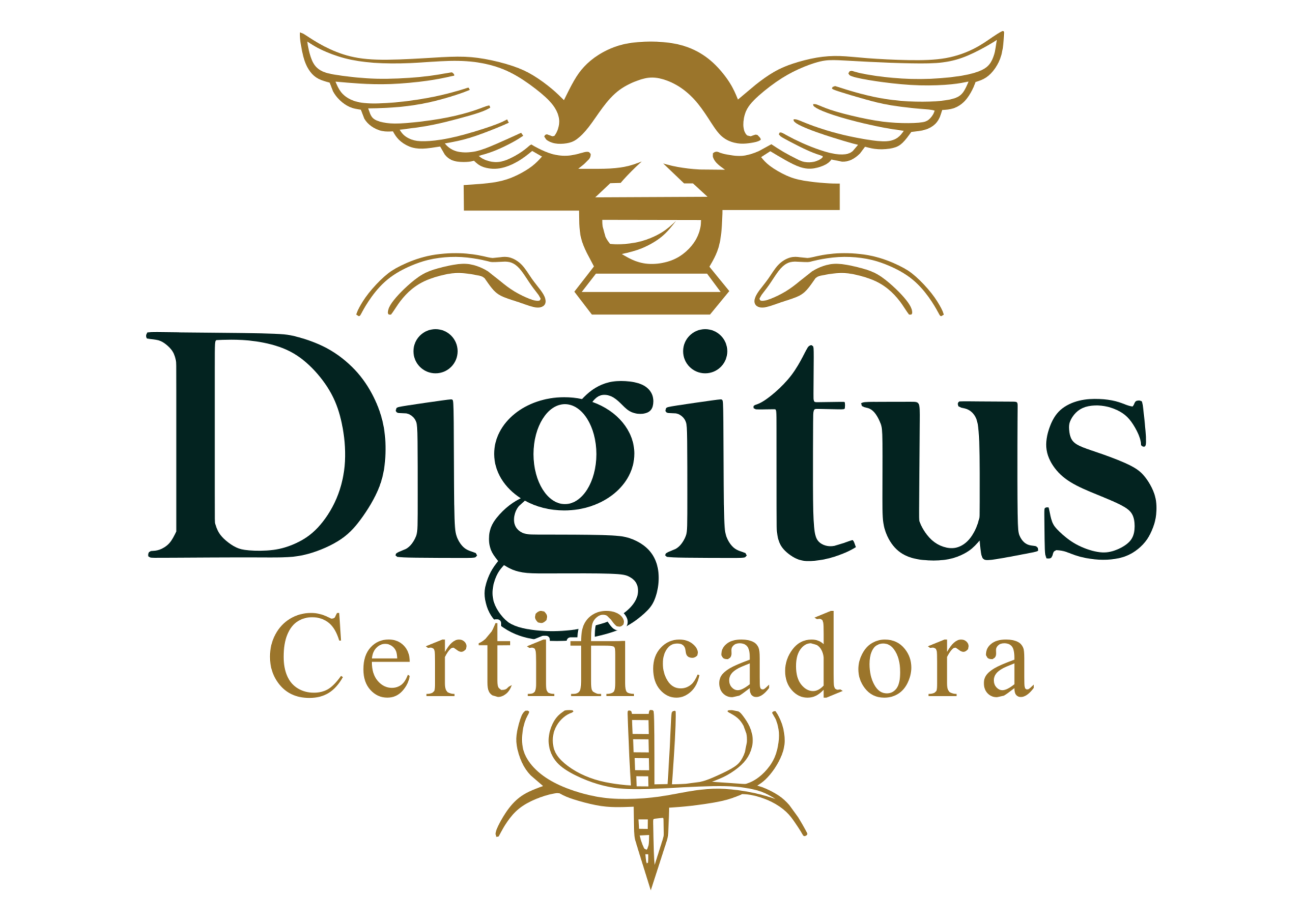 logomarca certificadora sem fundo